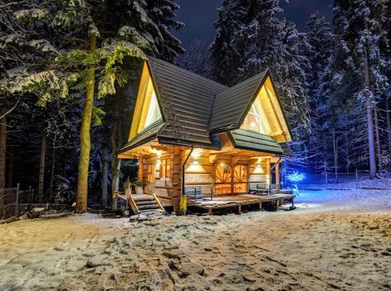 Chata Pod Nosalem - Domek Z Jacuzzi Z Bala W Zakopanym Zakopane Eksteriør bilde